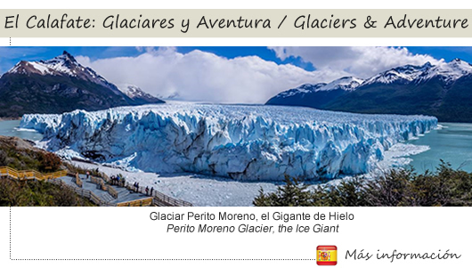 Calafate